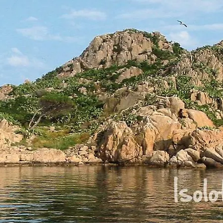 Mussilimbrosu トルトリ